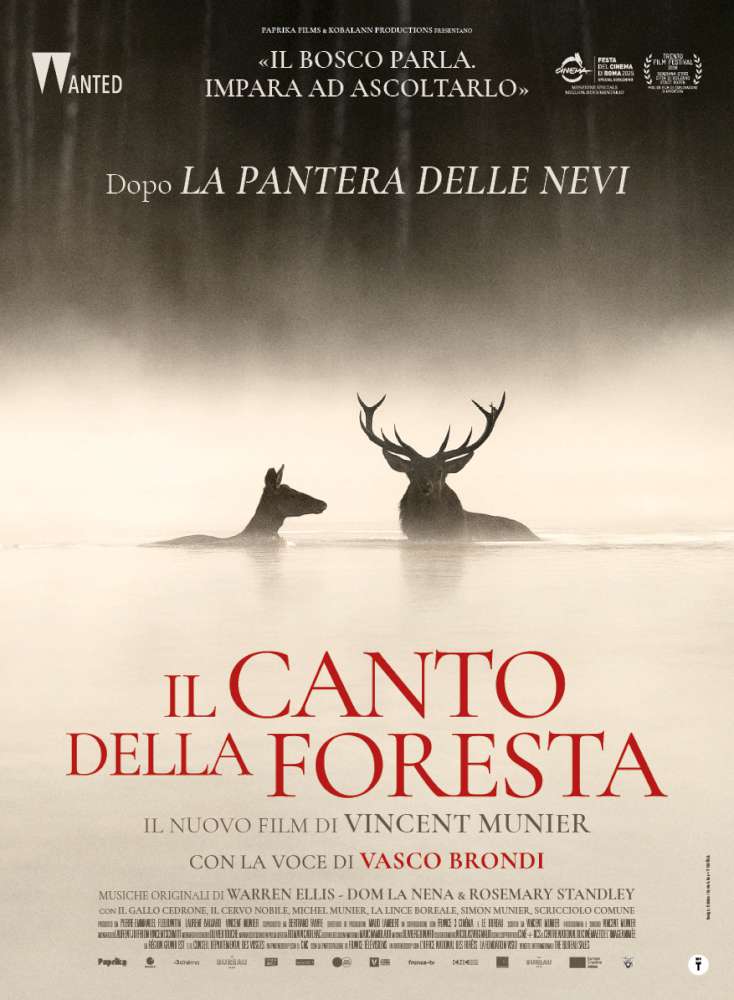 Il canto della foresta